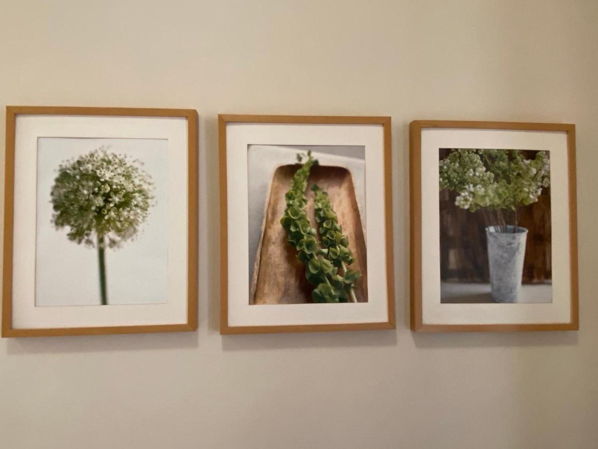 Klimatyczny Apartament Przy Rynku Wrocław Eksteriør billede